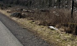 Featured image of post Benneckenstein