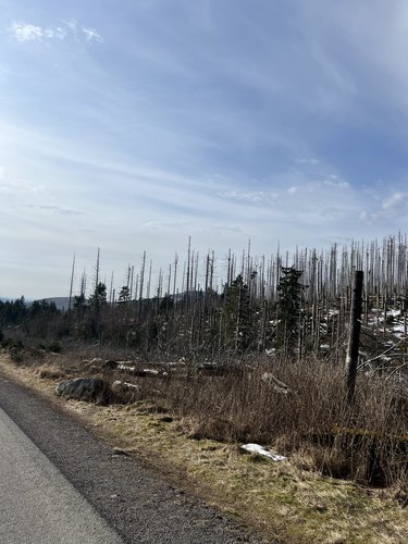 Featured image of post Benneckenstein